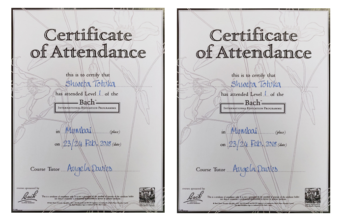 Totuka Certificate (1)